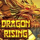 Dragon Rising game thumbnail